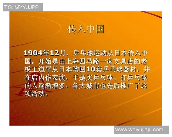 中国乒乓球运动员的成长历程与国际赛场上的卓越表现分析