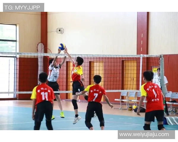 重庆排球队灵活性表现分析与提升策略探讨