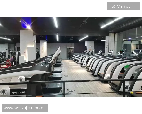 进口健身器材价格与选择：高端设备市场分析