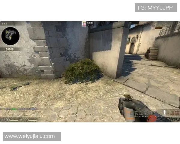 EDG在CSGO比赛中的盯防策略分析与得失总结